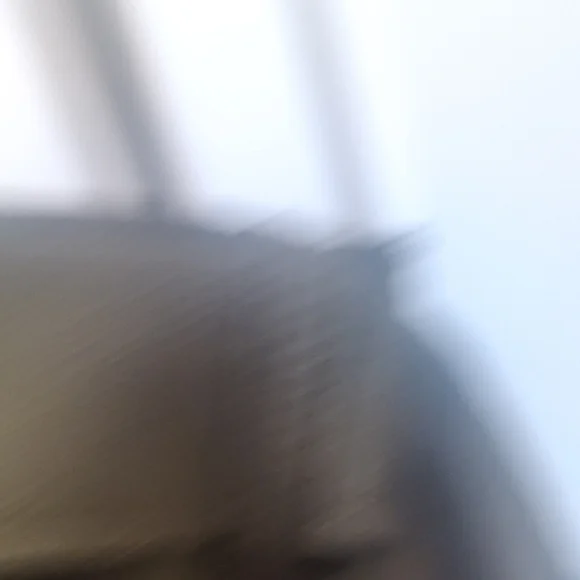 Olive Green Women's Trench Coat - Picture 8 of 10